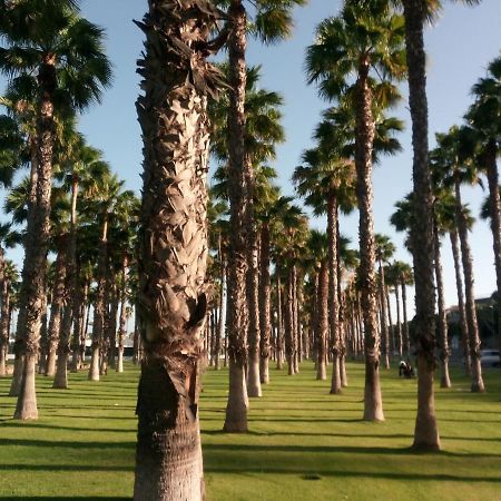 Apartamento Garland Agaete Parque プラヤ・デル・イングレス エクステリア 写真